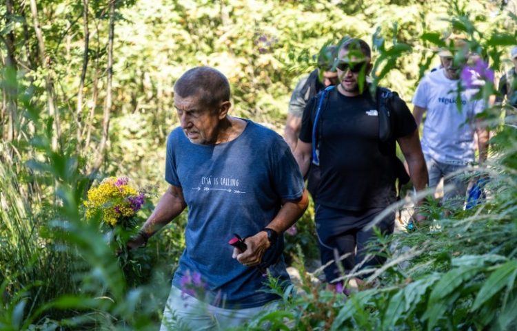 Kryeministri çek kërkon falje pasi këputi lule në zonë të mbrojtur