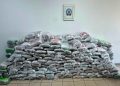 Arresťohet në Greqi një shtetas i Kosovës, sekuestrohen 324 kilogramë k@nabis