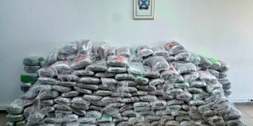 Arresťohet në Greqi një shtetas i Kosovës, sekuestrohen 324 kilogramë k@nabis
