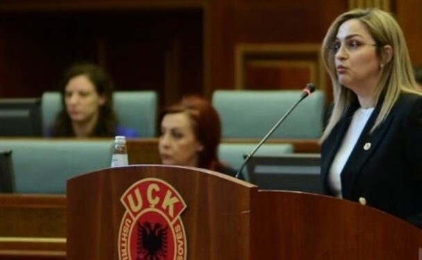 Selimi-Mehmeti: 183 ditë pa institucione në 2014, sot flasin për bllokadë