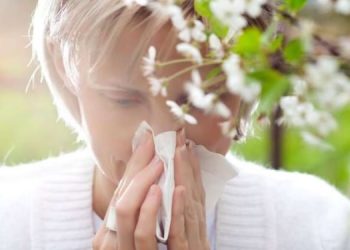 Disa ushqime ju ndihmojnë nëse keni alergji stinore