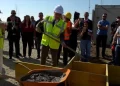 Vendoset gurthemeli i Parkut Industrial në Livadicë të Podujevës