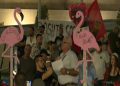 Protesta në Tiranë në ditën e 82-të