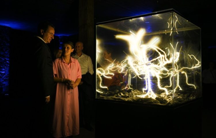 Kurti: SERPENTINE 2026 hap një kapitull të ri për artin dhe kulturën në Kosovë