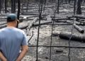 “Topi i zjarrtë nga Kosova” dhe teoritë e tjera: Si u përhap dezinformimi për zjarret në Serbi?