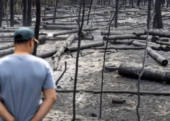 “Topi i zjarrtë nga Kosova” dhe teoritë e tjera: Si u përhap dezinformimi për zjarret në Serbi?