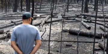 “Topi i zjarrtë nga Kosova” dhe teoritë e tjera: Si u përhap dezinformimi për zjarret në Serbi?