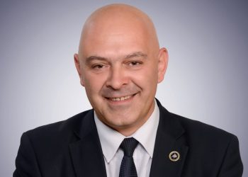 Aleanca do t’i drejtohet Kushtetueses, Gjini: Qeveria e votuar jokushtetuese