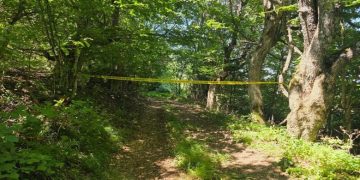 Parabúrgim një muaj për nëntë të arresťuarit për kríme lúfte
