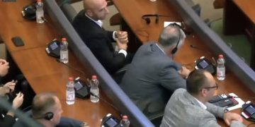 Edhe Stefanoviq dështon për nënkryetare të Kuvendit