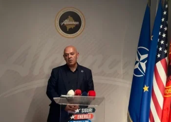 Gjini: Aleanca nuk do të marrë pjesë në nesër në seancë