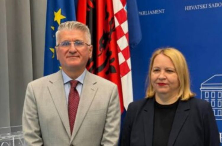 Gjekmarkaj në Zagreb: Mirënjohje Kroacisë për Kosovën, apel për demokraci dhe drejtësi të pavarur